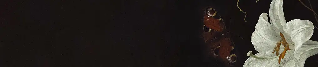 https://empyriel.com/wp-content/uploads/2026/10/dlafirm.webp