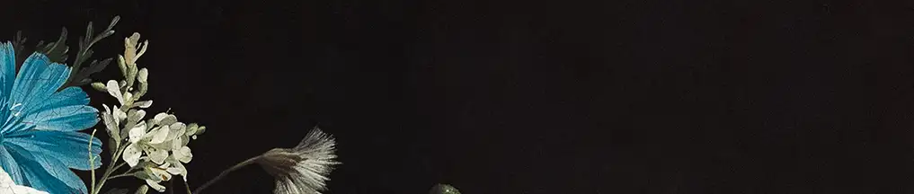 https://empyriel.com/wp-content/uploads/2026/10/tworcy.webp